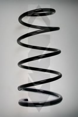 Arc spiral SPIDAN 55613
