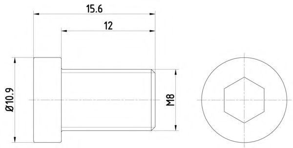 Imagine Surub, disc frana HELLA 8DZ 355 209-091