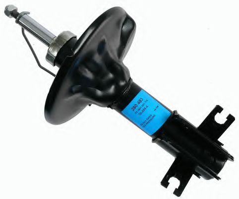 Imagine amortizor BOGE 30-A89-A
