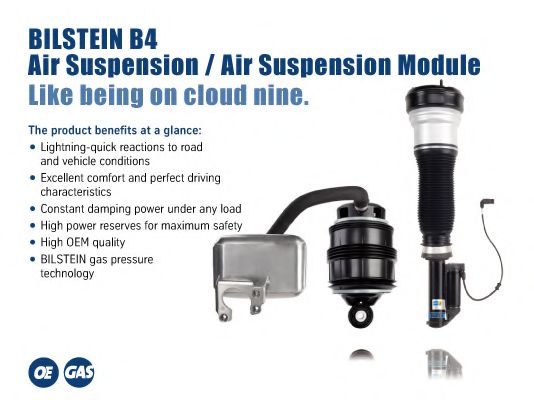 Amortizor BILSTEIN Bil_021624