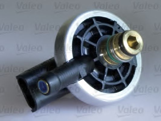 Imagine Injector VALEO 348009