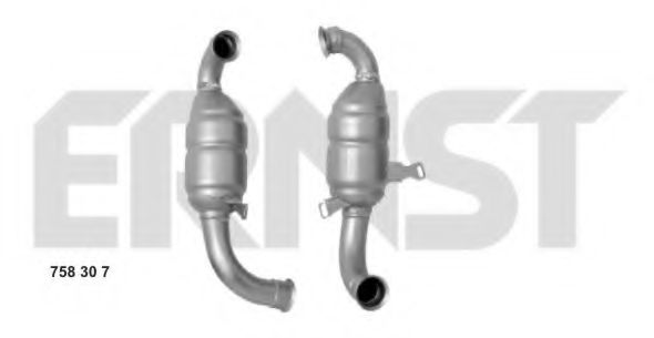 Catalizator ERNST 758307