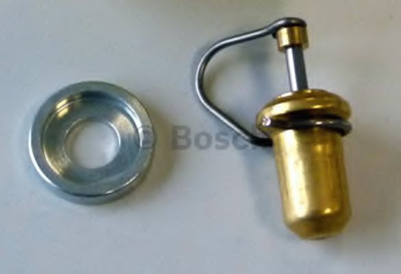 Termostat, imbogatire pornire la rece BOSCH F 026 T03 038