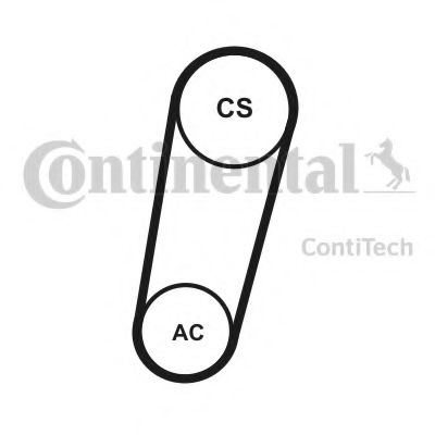 Imagine Set curea transmisie cu caneluri CONTITECH 5PK705 ELAST T1