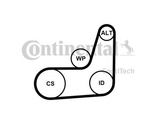 Imagine Set curea transmisie cu caneluri CONTITECH 6PK1019 ELAST T2