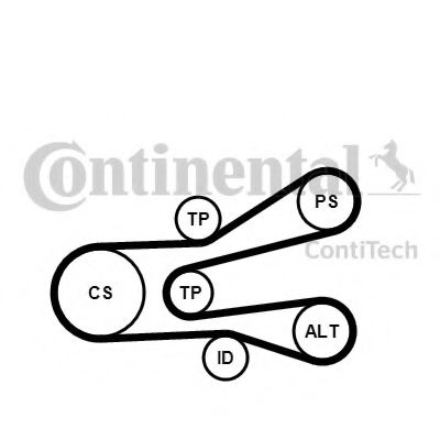 Imagine Set curea transmisie cu caneluri CONTITECH 6PK1440K1