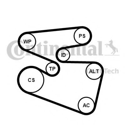 Imagine Set curea transmisie cu caneluri CONTITECH 6PK1555K3