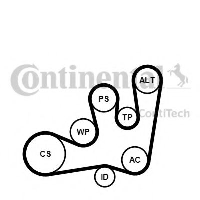 Imagine Set curea transmisie cu caneluri CONTITECH 6PK1642K1