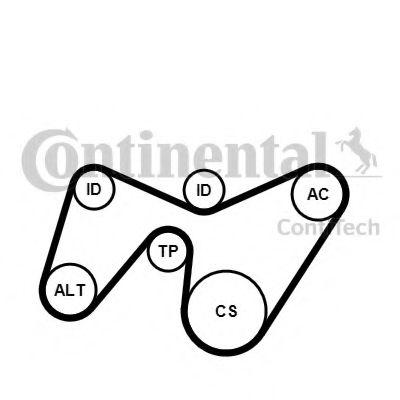 Imagine Set curea transmisie cu caneluri CONTITECH 6PK1642K2