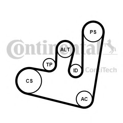 Imagine Set curea transmisie cu caneluri CONTITECH 6PK1660K2