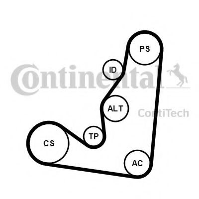 Imagine Set curea transmisie cu caneluri CONTITECH 6PK1660K4