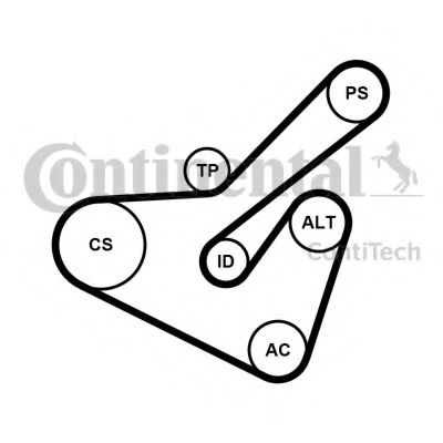 Imagine Set curea transmisie cu caneluri CONTITECH 6PK1725K2