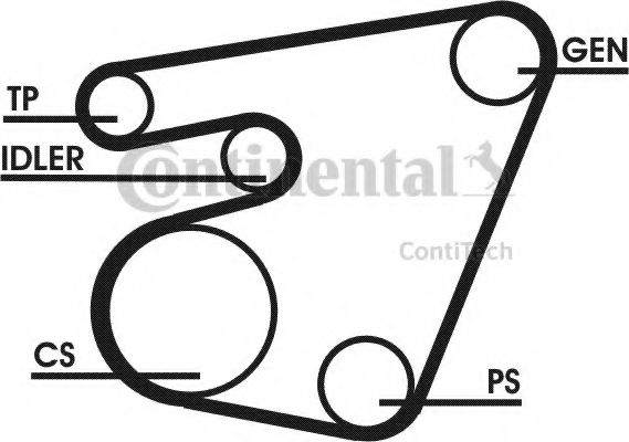 Imagine Set curea transmisie cu caneluri CONTITECH 6PK1750D1