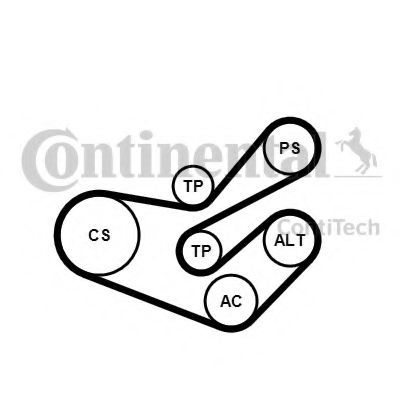 Imagine Set curea transmisie cu caneluri CONTITECH 6PK1750K3