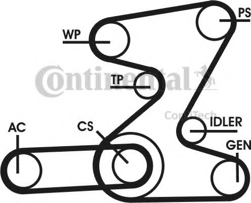 Imagine Set curea transmisie cu caneluri CONTITECH 6PK2080D2