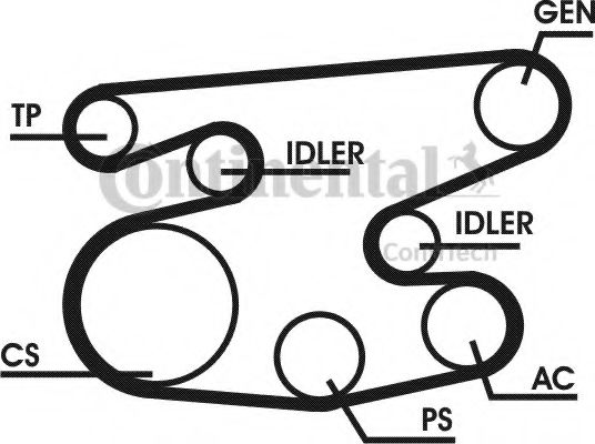 Imagine Set curea transmisie cu caneluri CONTITECH 6PK2236D1