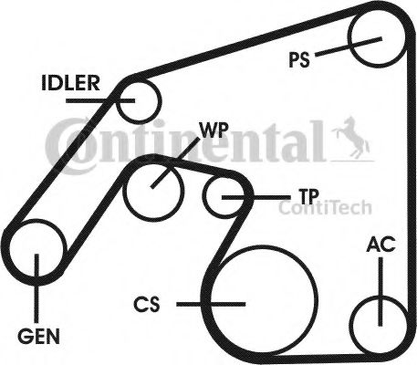 Imagine Set curea transmisie cu caneluri CONTITECH 6PK2240D1