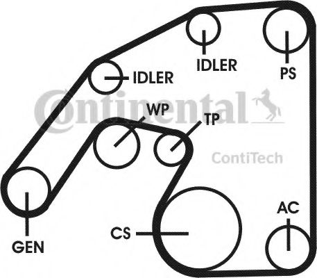 Imagine Set curea transmisie cu caneluri CONTITECH 6PK2260D1