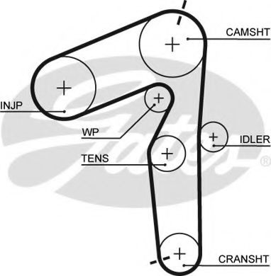 Imagine Curea de distributie GATES 5500XS