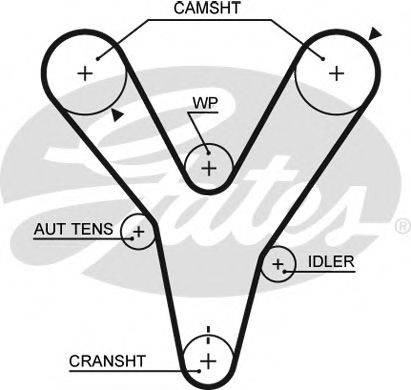 Imagine Curea de distributie GATES 5584XS