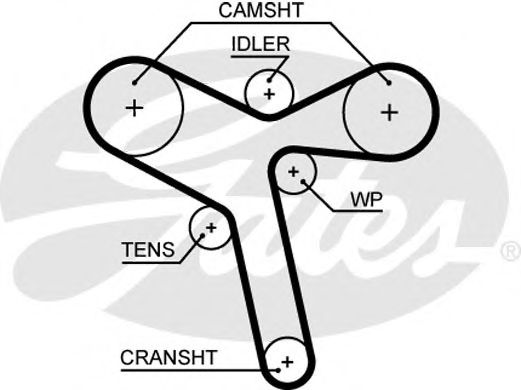 Imagine Curea de distributie GATES 5647XS
