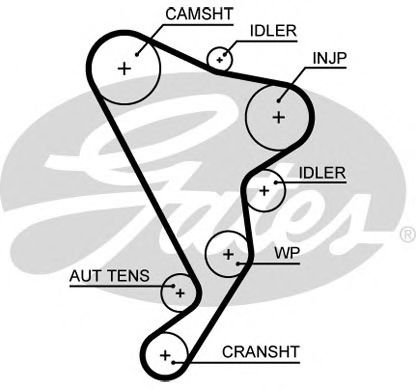 Imagine Curea de distributie GATES 5661XS