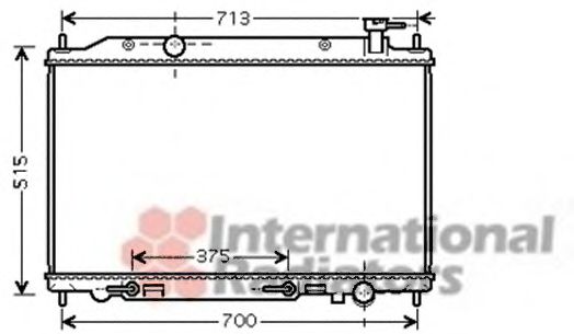 Imagine Radiator, racire motor VAN WEZEL 13002295