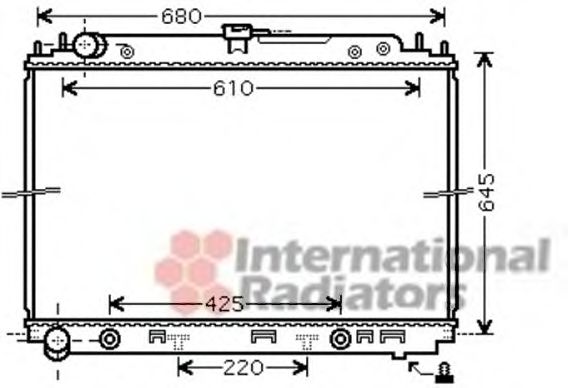 Imagine Radiator, racire motor VAN WEZEL 13002297