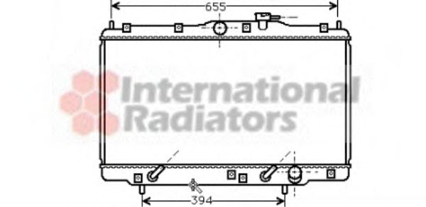 Imagine Radiator, racire motor VAN WEZEL 25002094