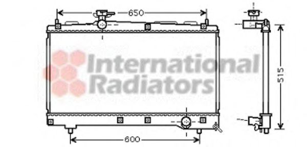 Imagine Radiator, racire motor VAN WEZEL 53002331