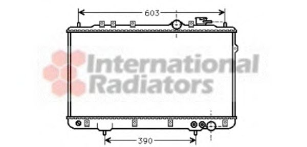 Imagine Radiator, racire motor VAN WEZEL 82002022