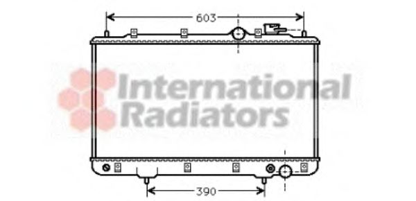 Imagine Radiator, racire motor VAN WEZEL 82002031