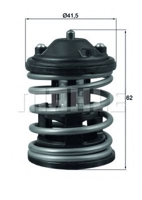 Imagine termostat,lichid racire BEHR TX 163 87D1