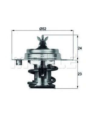 Imagine termostat,lichid racire BEHR TX 7 88D