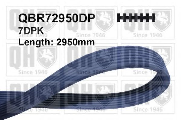 Curea transmisie cu caneluri QUINTON HAZELL QBR72950DP