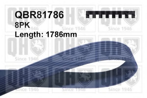 Curea transmisie cu caneluri QUINTON HAZELL QBR81786
