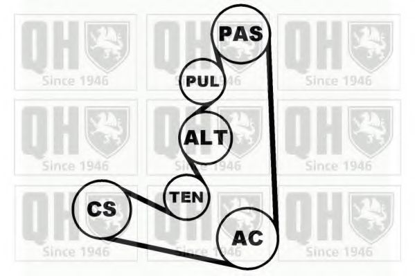 Imagine Set curea transmisie cu caneluri QUINTON HAZELL QDK7