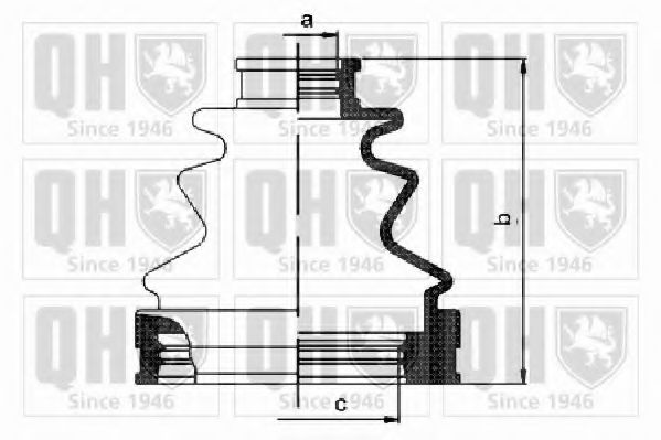 Imagine Ansamblu burduf, articulatie planetara QUINTON HAZELL QJB1157