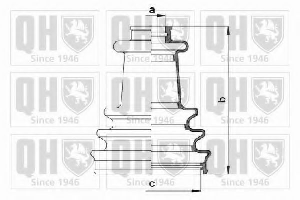 Imagine Ansamblu burduf, articulatie planetara QUINTON HAZELL QJB284