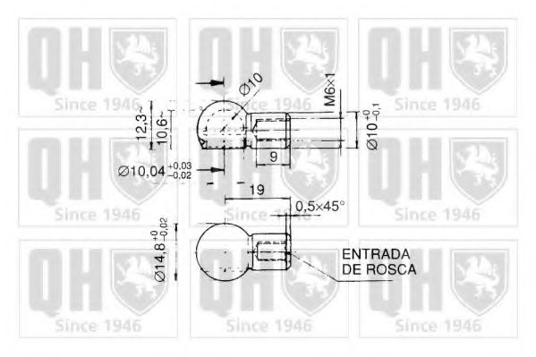 Imagine Amortizor portbagaj QUINTON HAZELL QTS840075