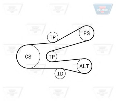 Imagine Set curea transmisie cu caneluri OPTIBELT 6 PK 1440KT1