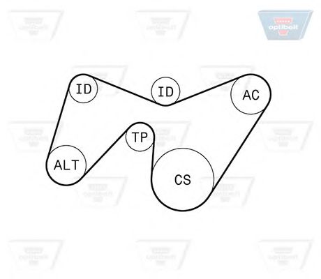 Imagine Set curea transmisie cu caneluri OPTIBELT 6 PK 1642KT1