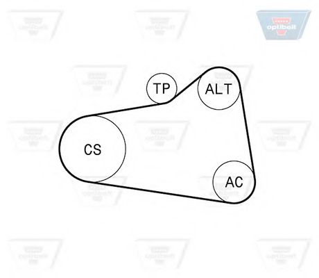Imagine Set curea transmisie cu caneluri OPTIBELT 6 PK 906KT1