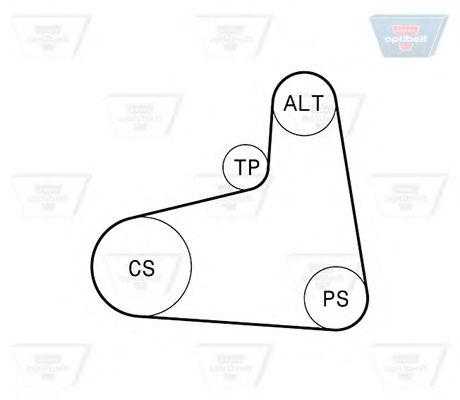 Imagine Set curea transmisie cu caneluri OPTIBELT 6 PK 906KT2