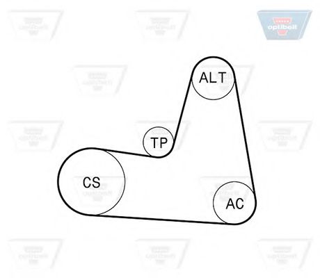 Imagine Set curea transmisie cu caneluri OPTIBELT 7 PK 1125KT1