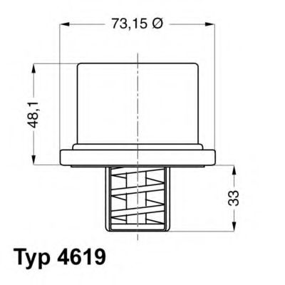 Imagine termostat,lichid racire WAHLER 4619.82