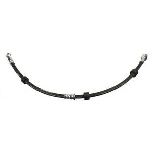 Imagine Furtun frana DELPHI LH6985