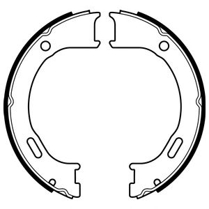 Imagine Set saboti frana, frana de mana DELPHI LS2076