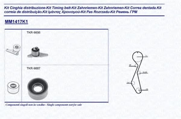 Imagine Set curea de distributie MAGNETI MARELLI 341314171101