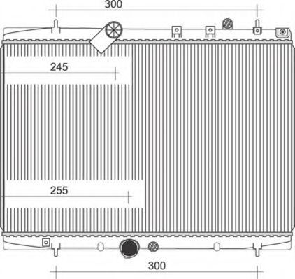 Imagine Radiator, racire motor MAGNETI MARELLI 350213986000